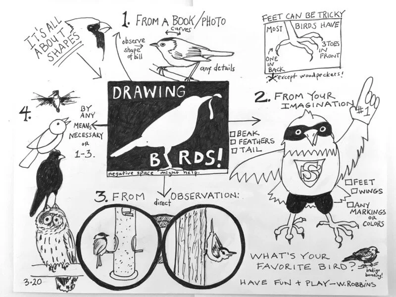 Whitney says, "Draw a Bird!"