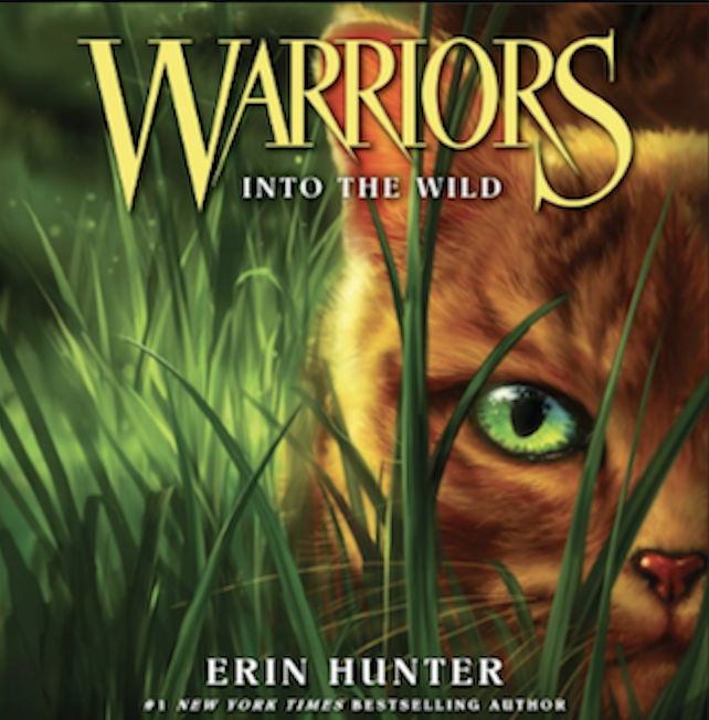 Warrior Cats Book Club every Wednesday at 3 p.m.