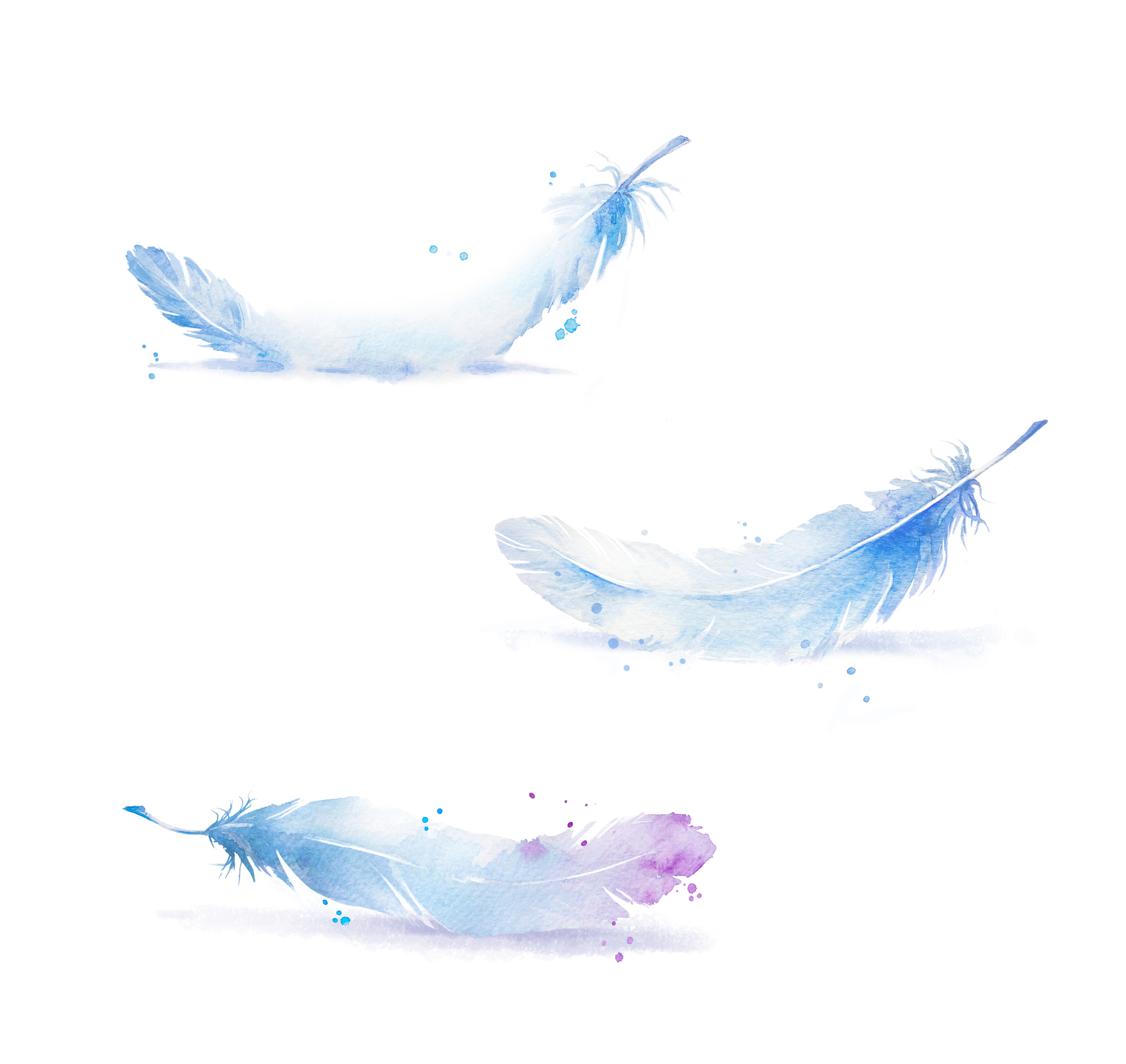 three-watercolour-feathers-blue-lilac.jpg