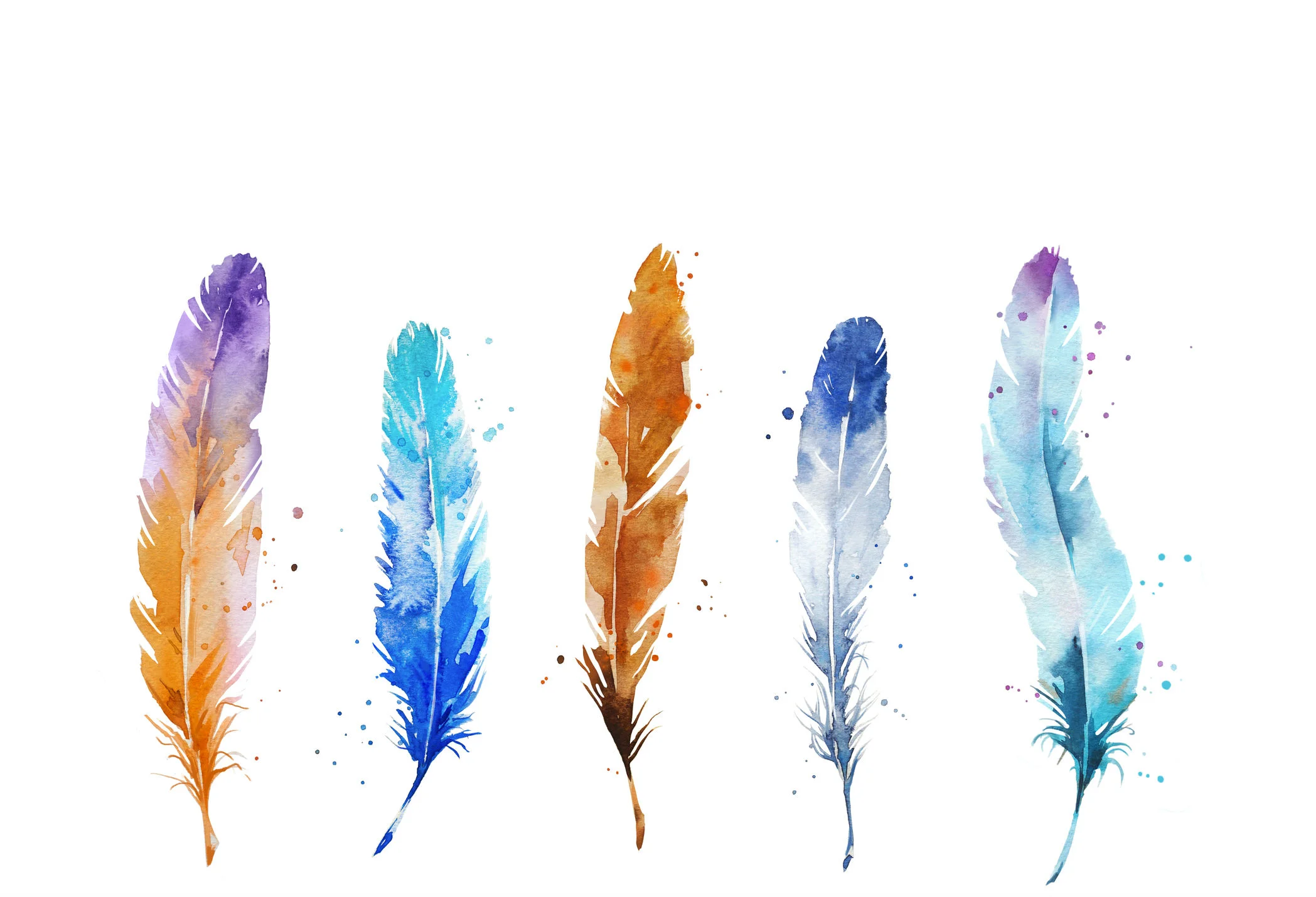five-watercolour-feathers-multi-dropped.jpg