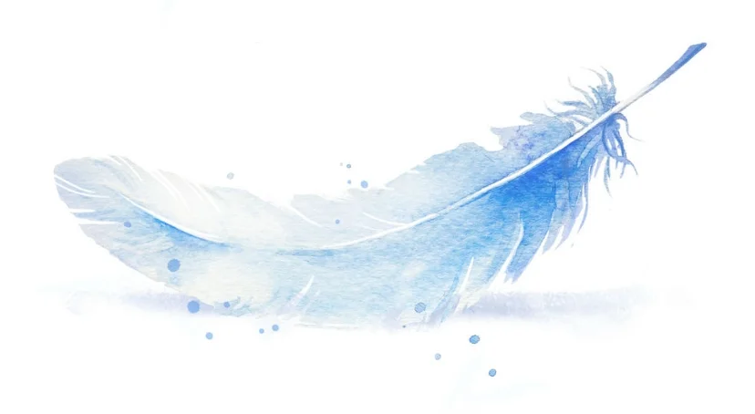 three-watercolour-feathers-blue-lilac-single-right.jpg