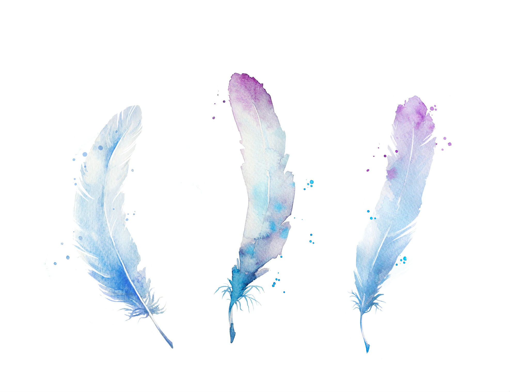 3-vertical-feathers-dropped.jpg