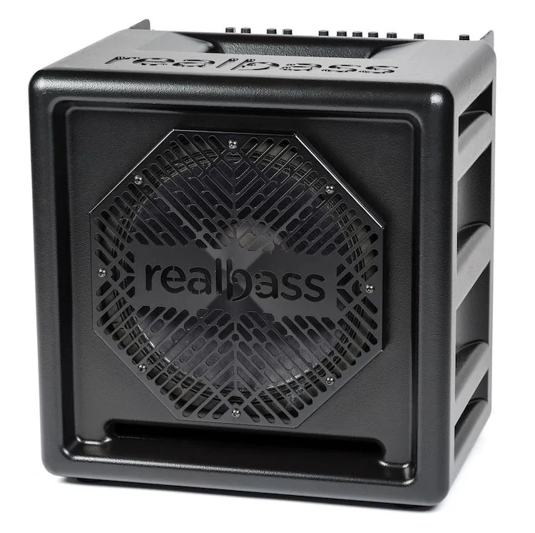 realbass-single_combo.jpg