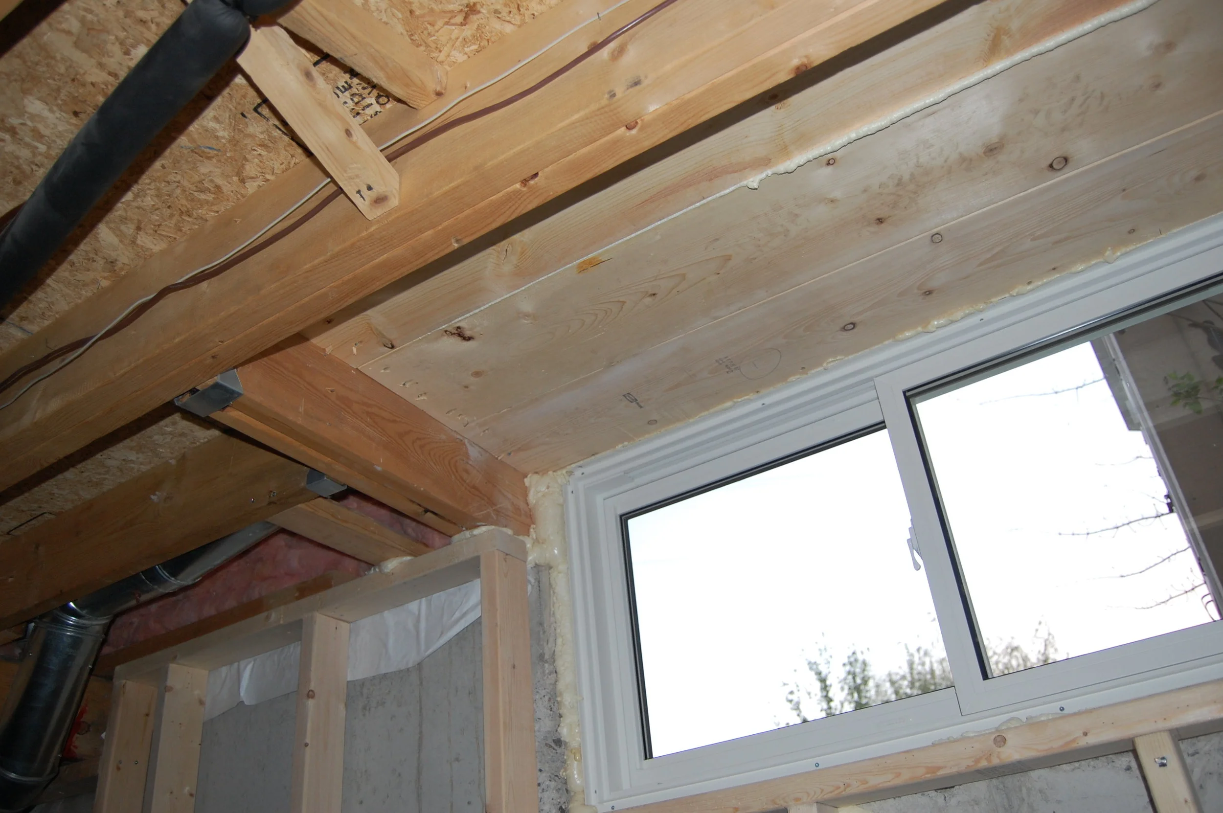 tj and saras window 194.JPG