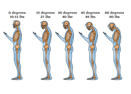 Posture.png