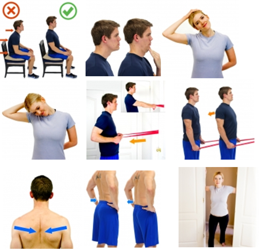 exercises posture.png
