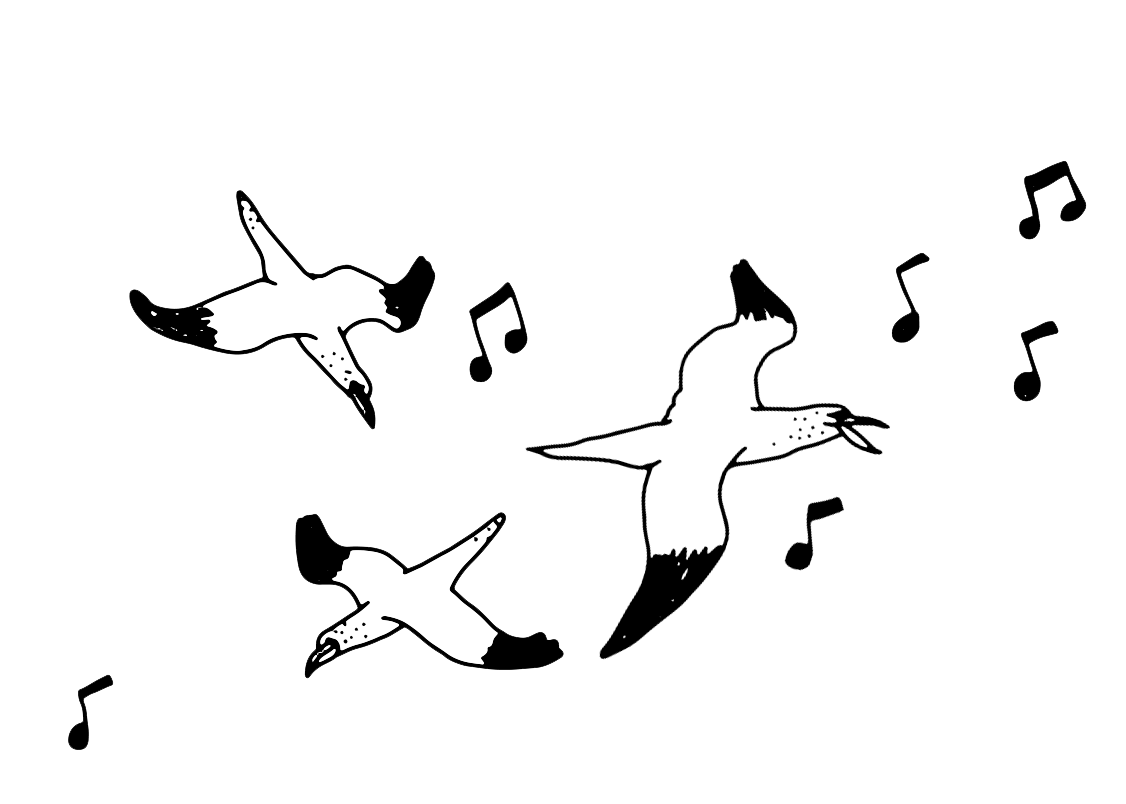 OISEAUX.png