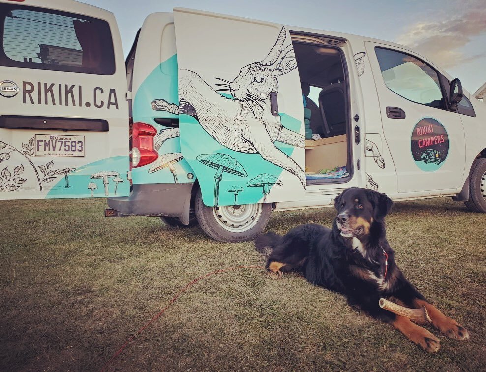 Et oui! Votre chien est le bienvenu pour votre trip en Rikiki! 🚌🐕 N&rsquo;a-t-il pas l&rsquo;air bien ce beau Benson?🤩 &bull; R&eacute;serve ta van pour l&rsquo;automne ici : www.rikiki.ca 🌲