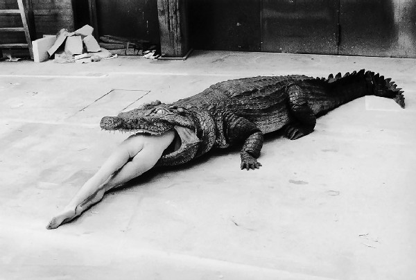 FWbVK.HelmutNewtonSeminar.ByHelmutNewton.jpg