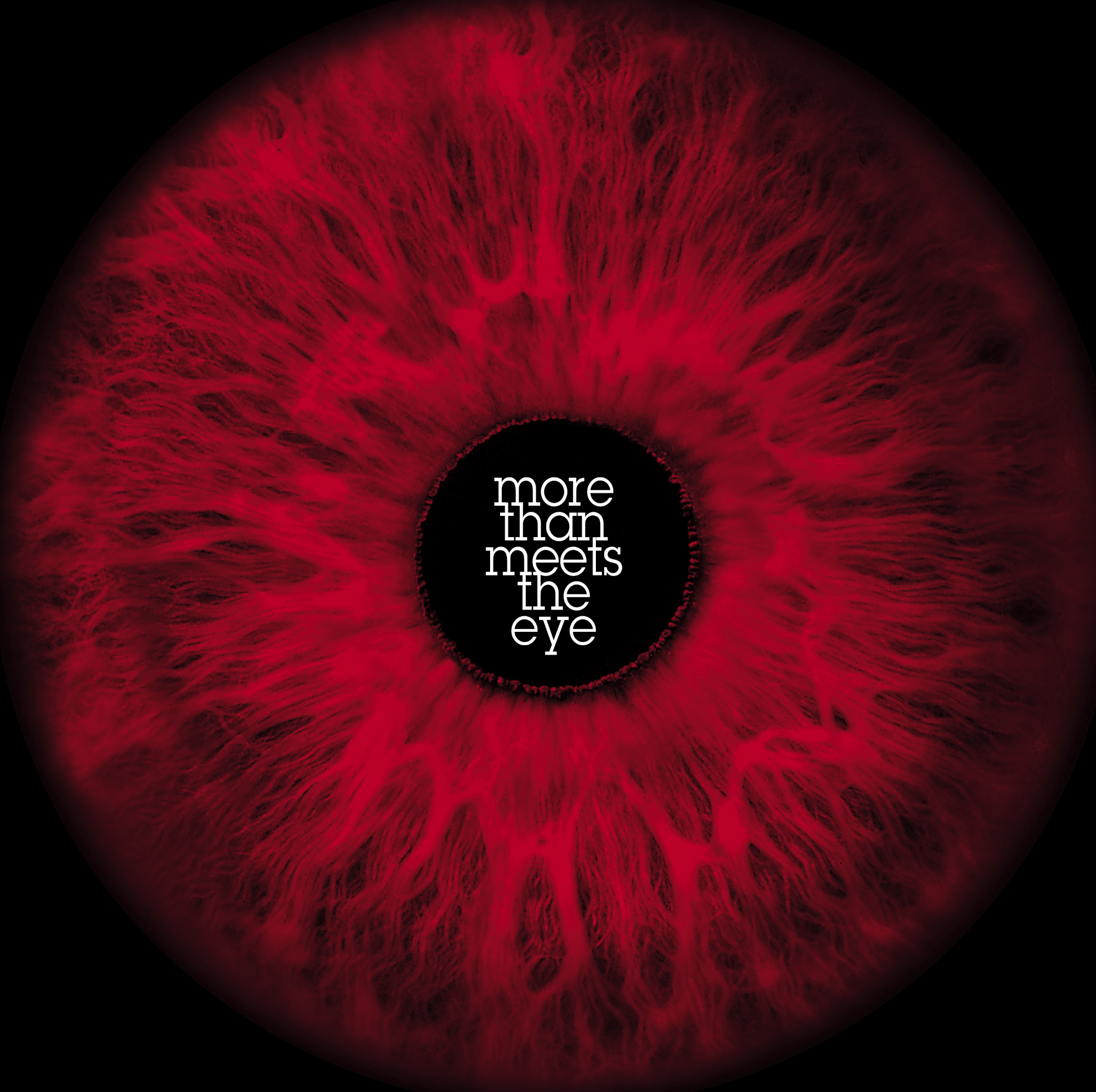 morethanmeetstheeye.png