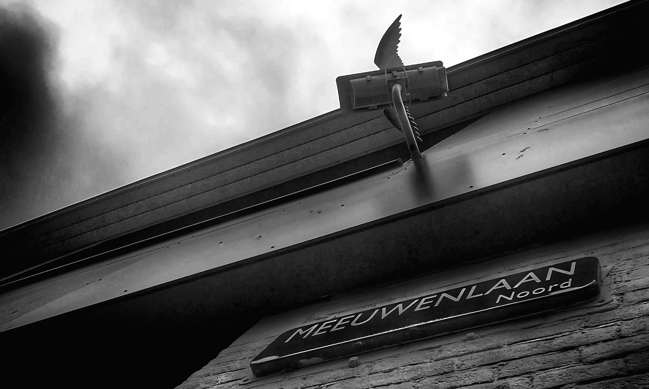 Birds watching over us