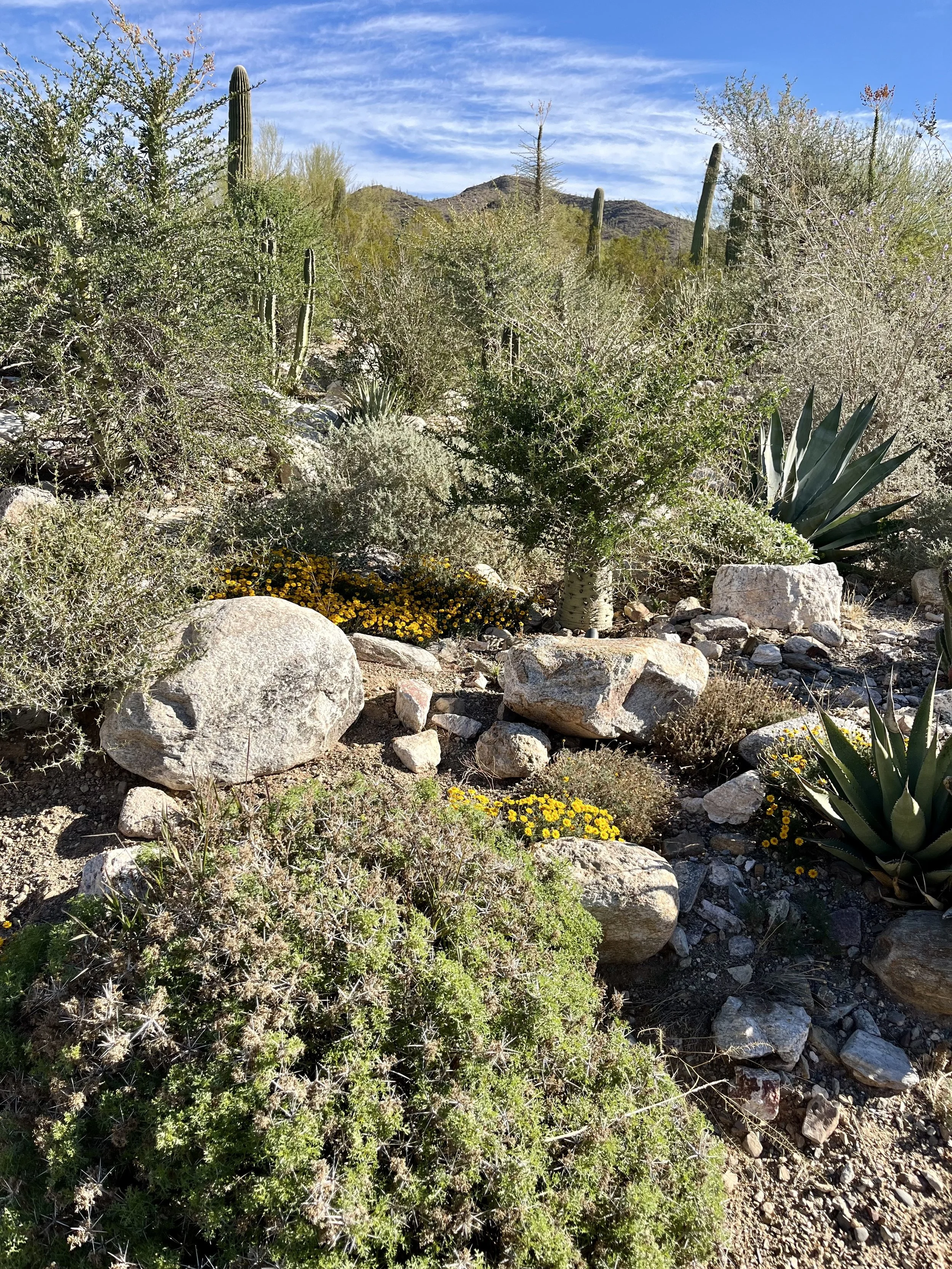 Querencia, or, The Trip to Where I'm Coming From