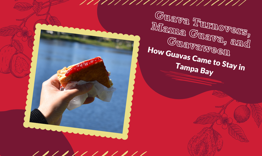 Guava Turnovers, Mama Guava, and Guavaween: How Guavas Came to Stay in Tampa Bay.