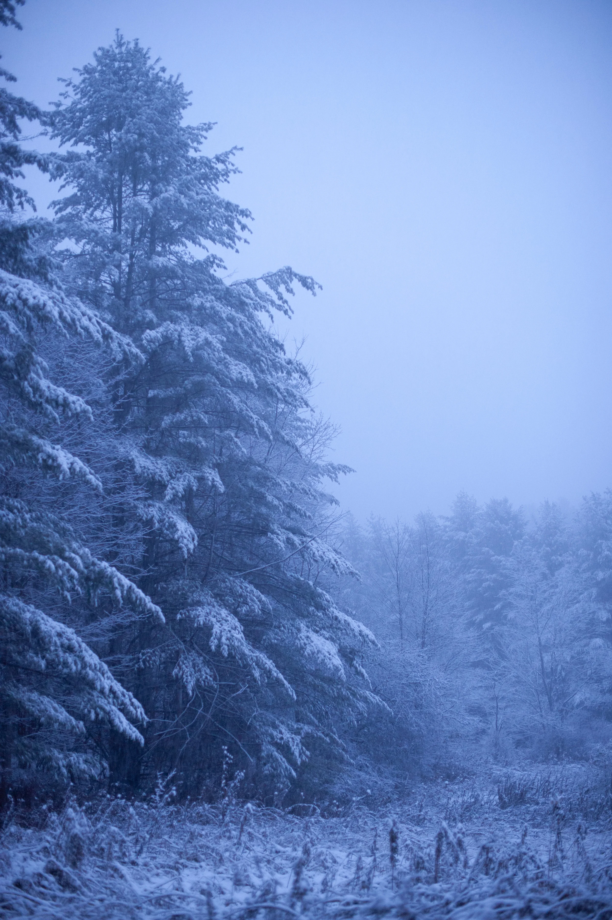 DSC_7383.jpg