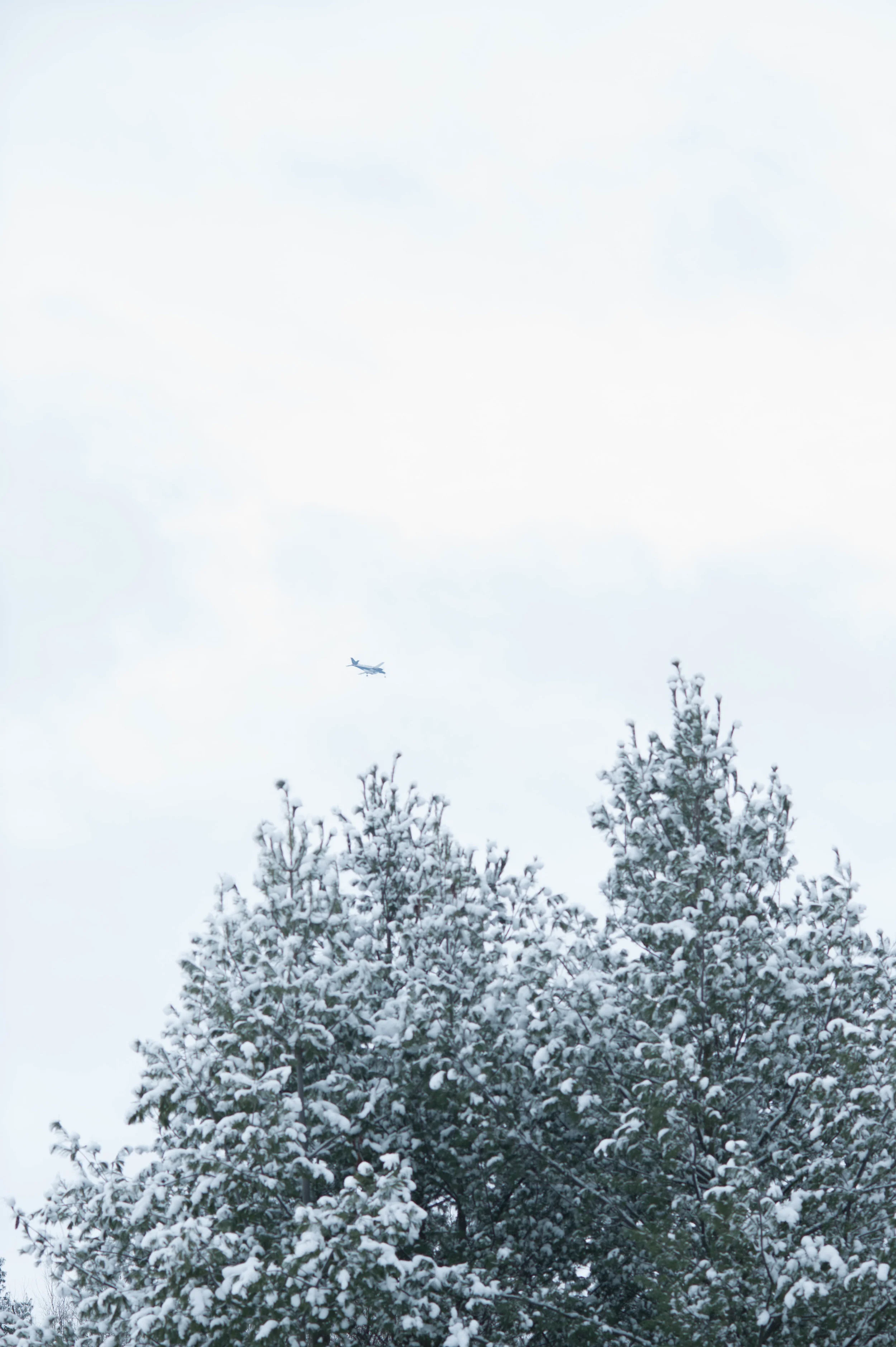 DSC_1399.jpg