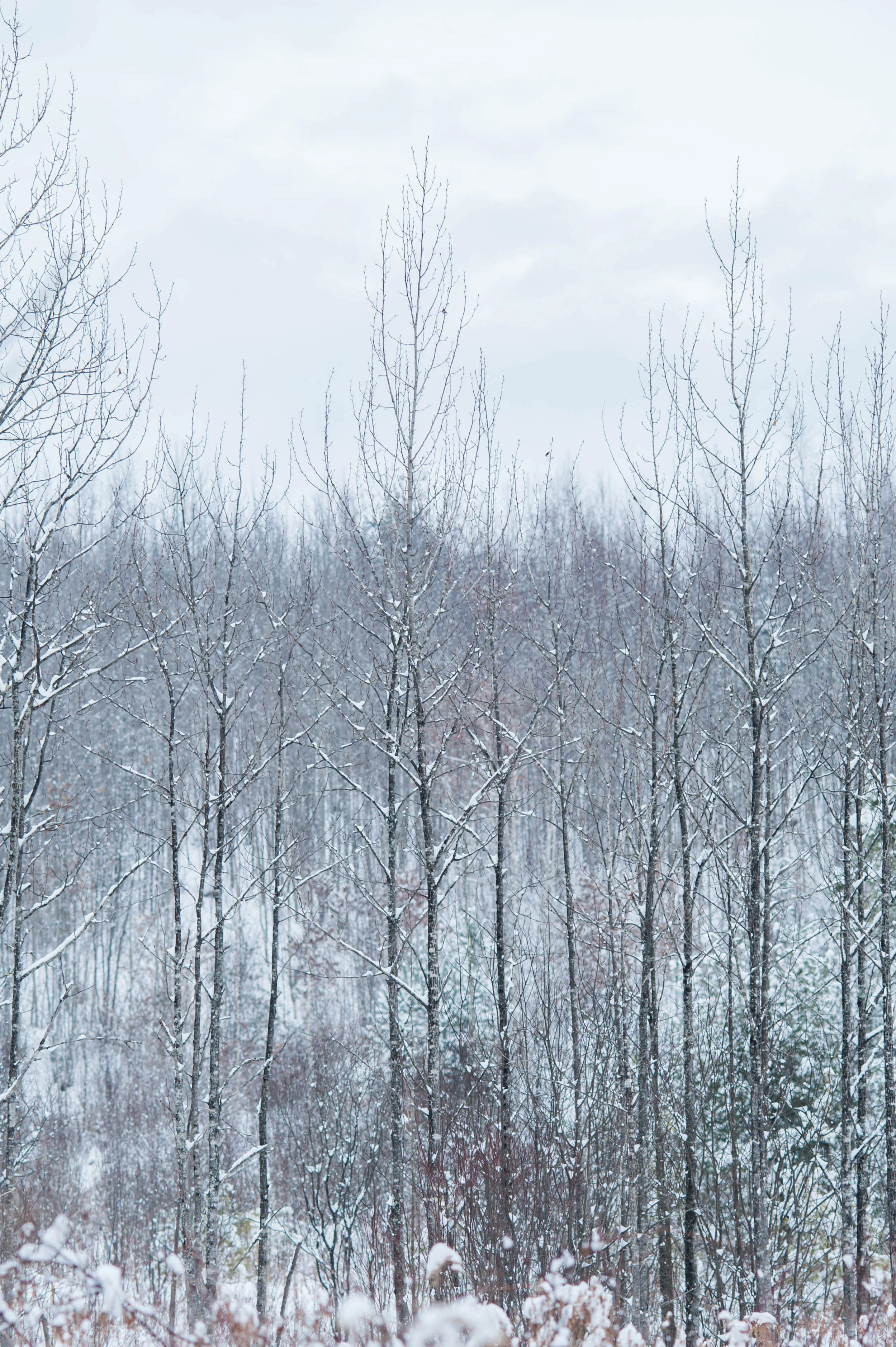DSC_1396.jpg