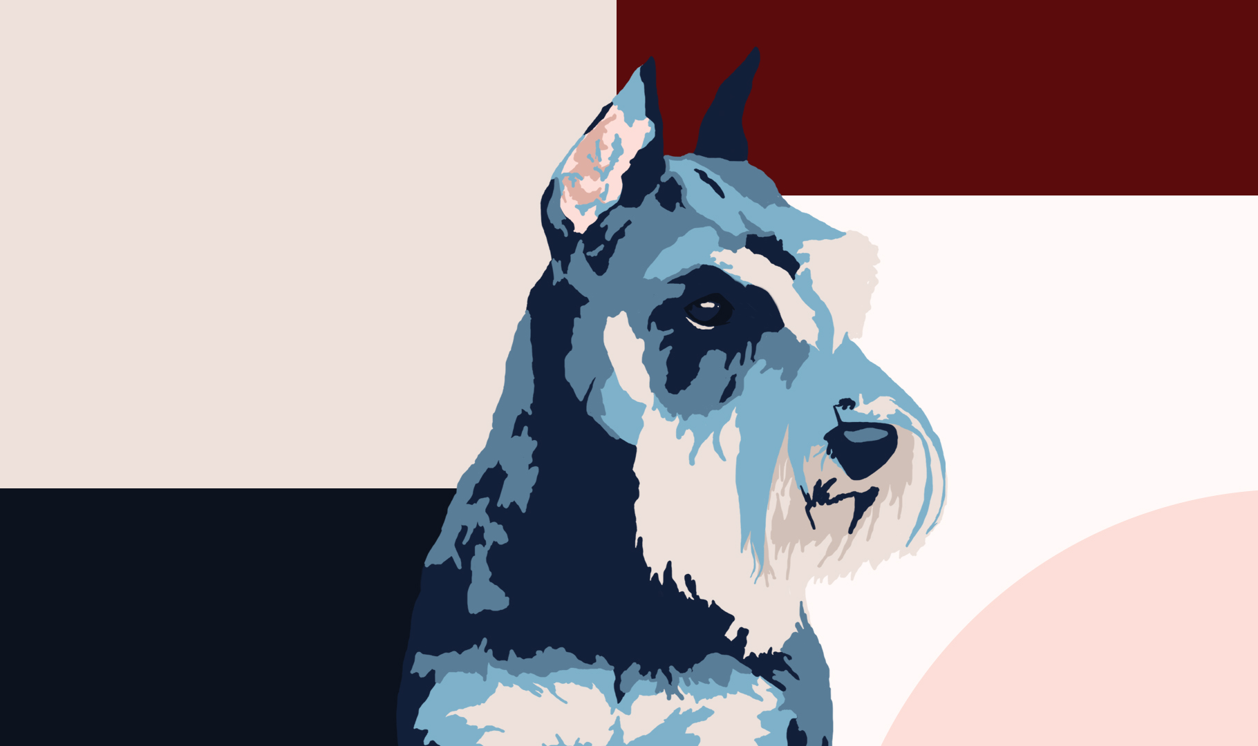 schnauzer2_07162017_screen.jpg