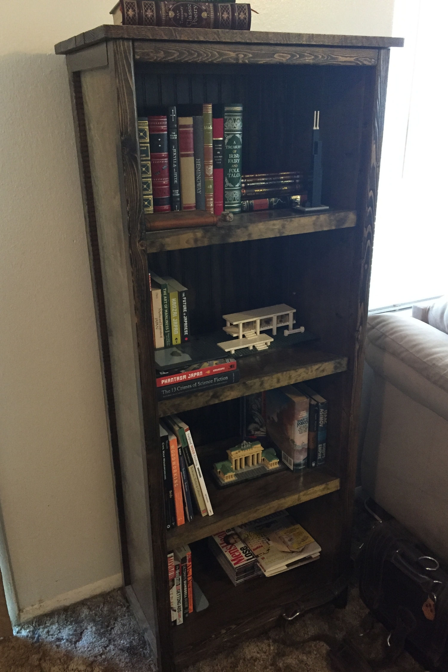 filled-bookcase.JPG