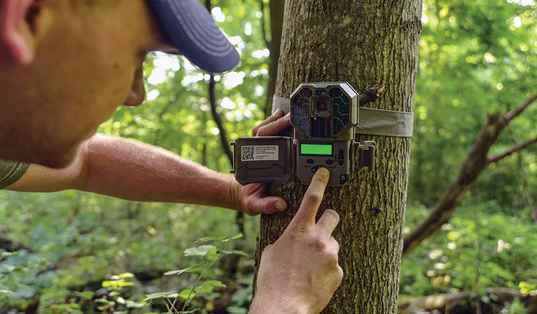 trail-cam-setup.jpg