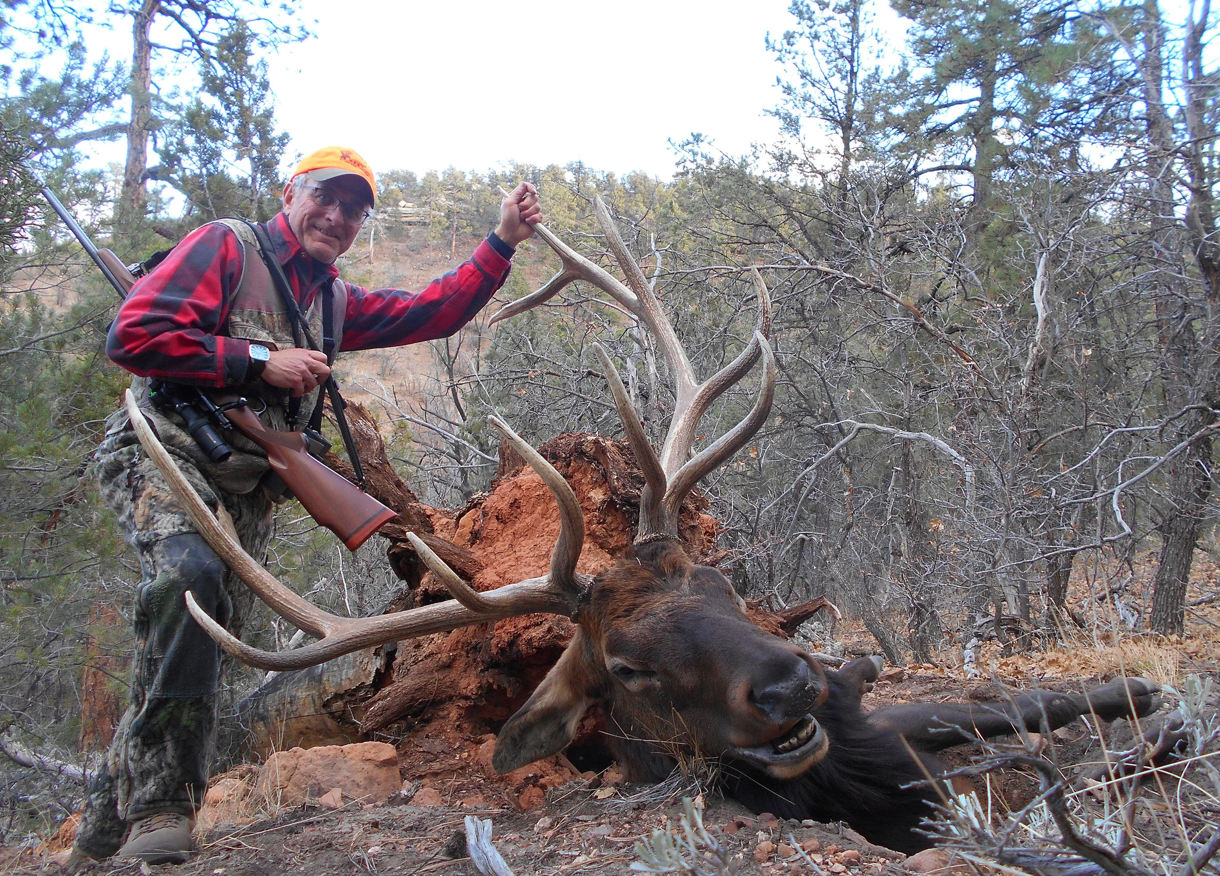 Patrick_Durkin_elk.jpg