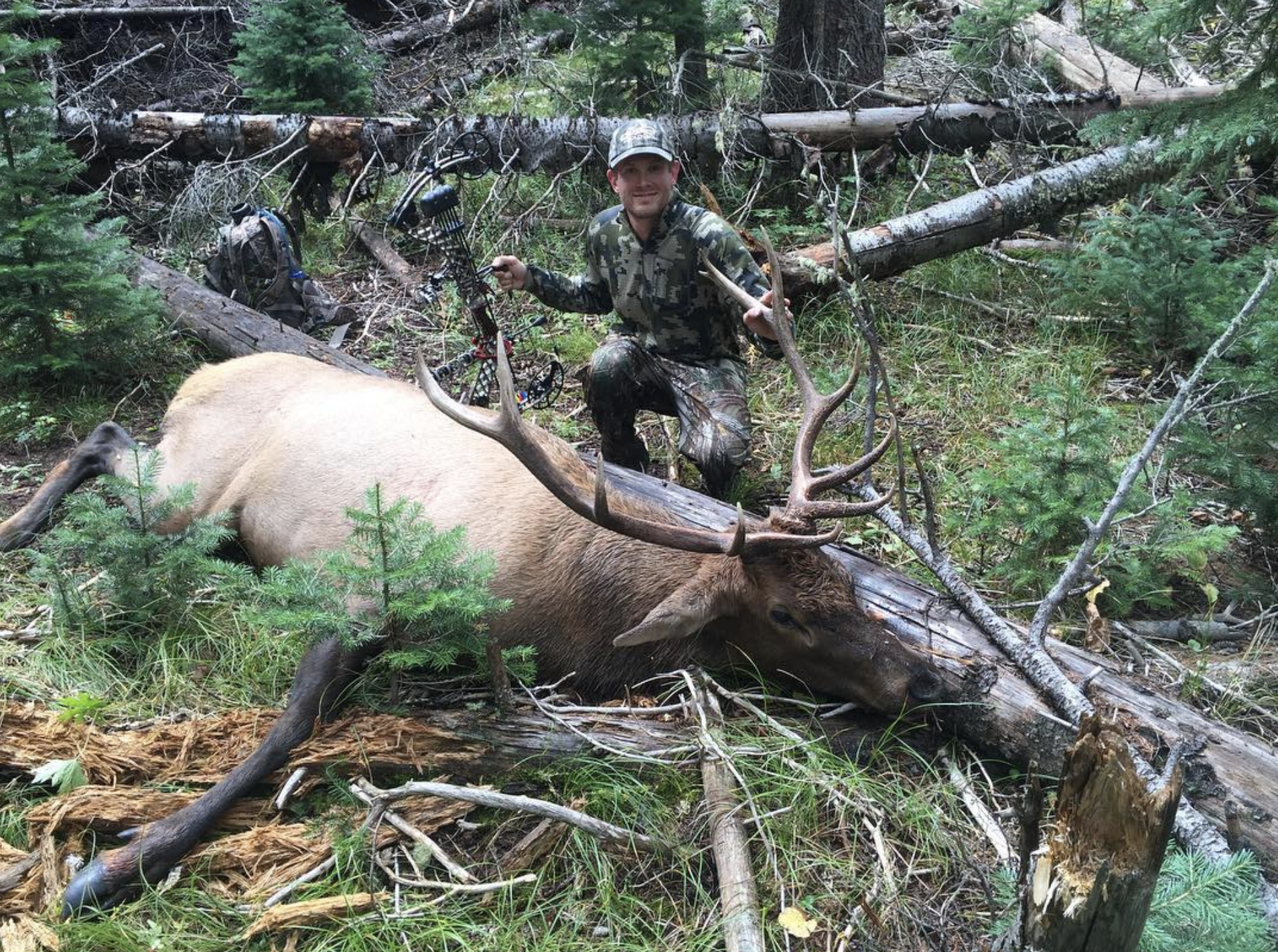 Tyler_Pearce_Elk_Colorado.jpg