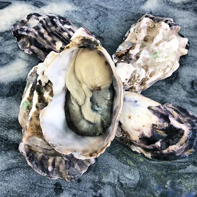 Our friends @46southfishco spoiled us this week with succulent oysters from Orongo Bay. These beautiful oysters have distinctly elongated shells with ruffled edges. When you bite into the plump meat you&rsquo;ll taste creamy, sweet flavours with gent