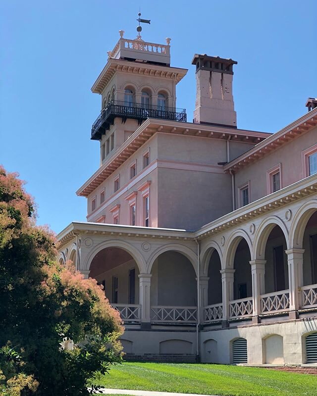 The Smoke Bush seen in the left of the frame is said to be the oldest of its kind in the country.  Regardless of its age, it complements Clifton beautifully. #nofilter 
#cliftonmansion #restorebaltimore #historichomes #johnshopkins