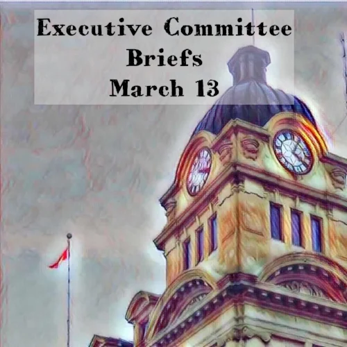 executive.jpg