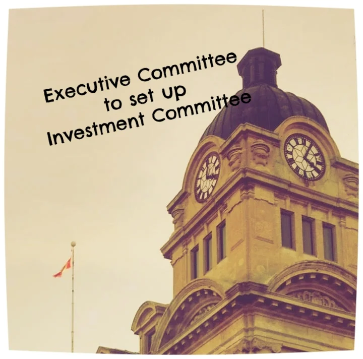 Executive Committee to set an Investment Committee