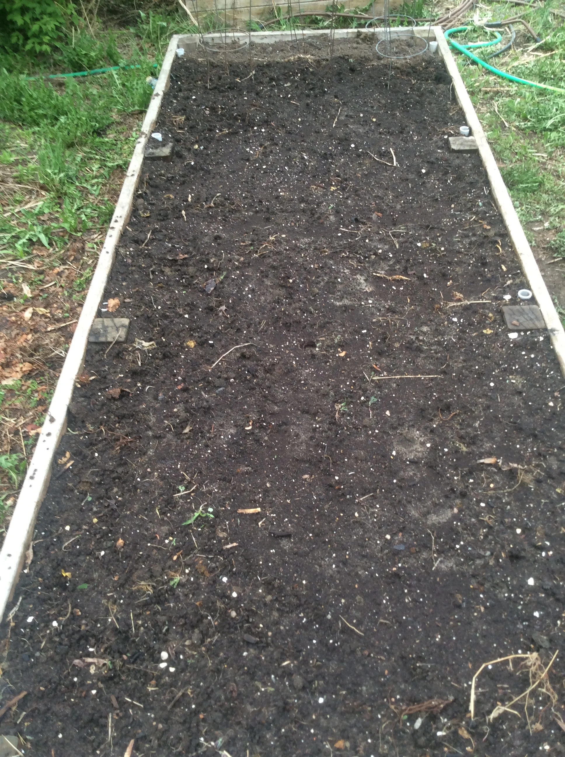 Rhino's Ramblings: Black Gold on the May Long Weekend