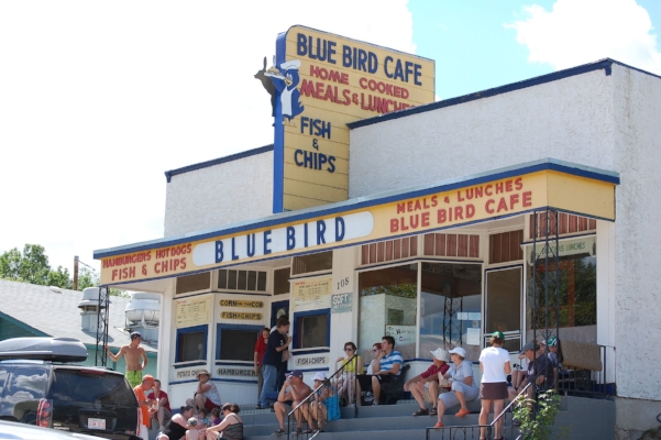 bluebird.jpg