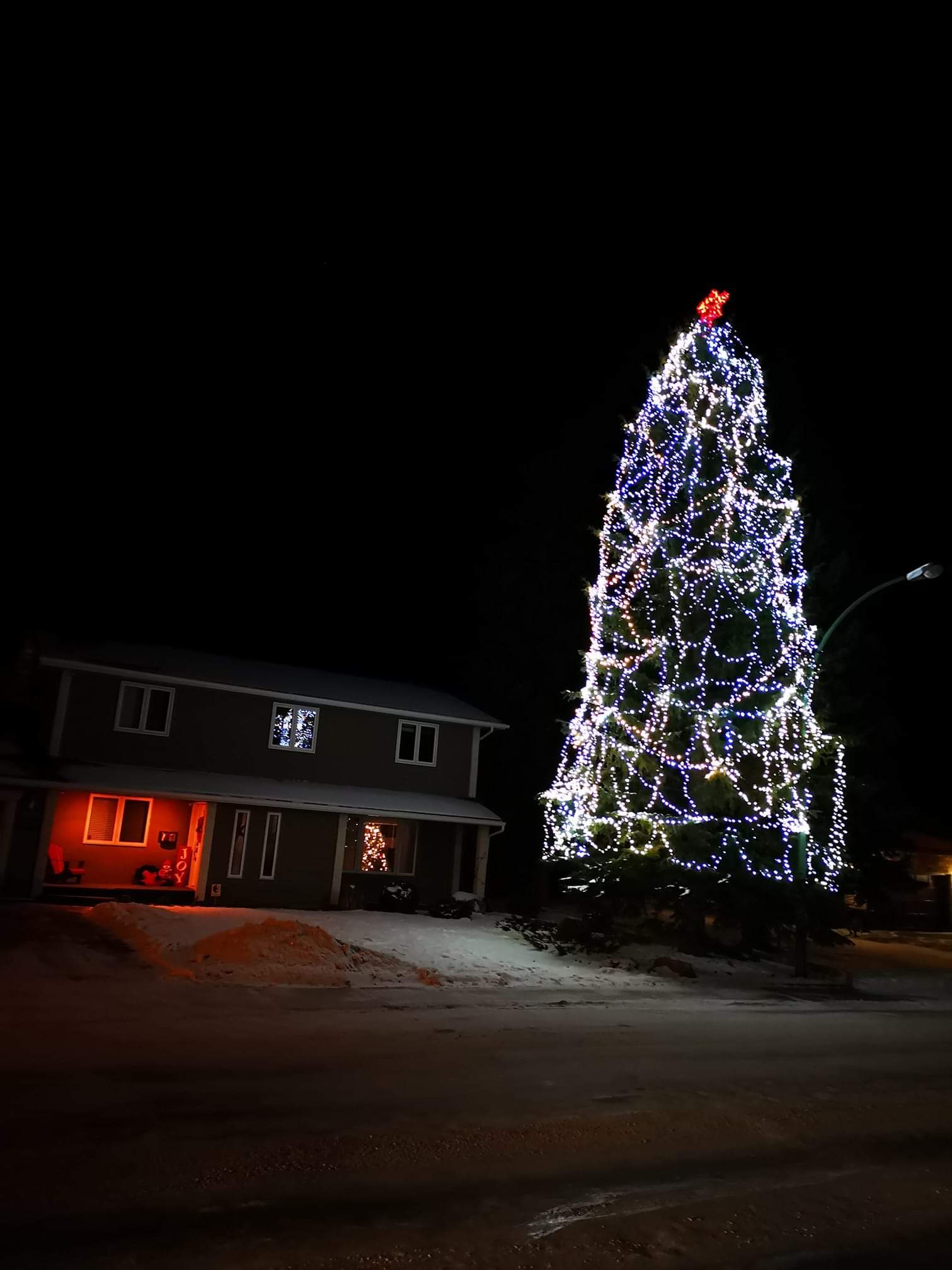 Normandy Drive is looking rather festive this Christmas season - Nick Murray Photo