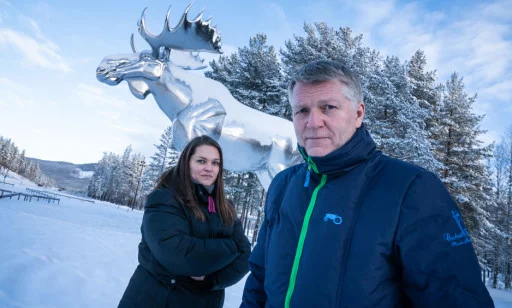 Norway Asks For Truce In Moose War