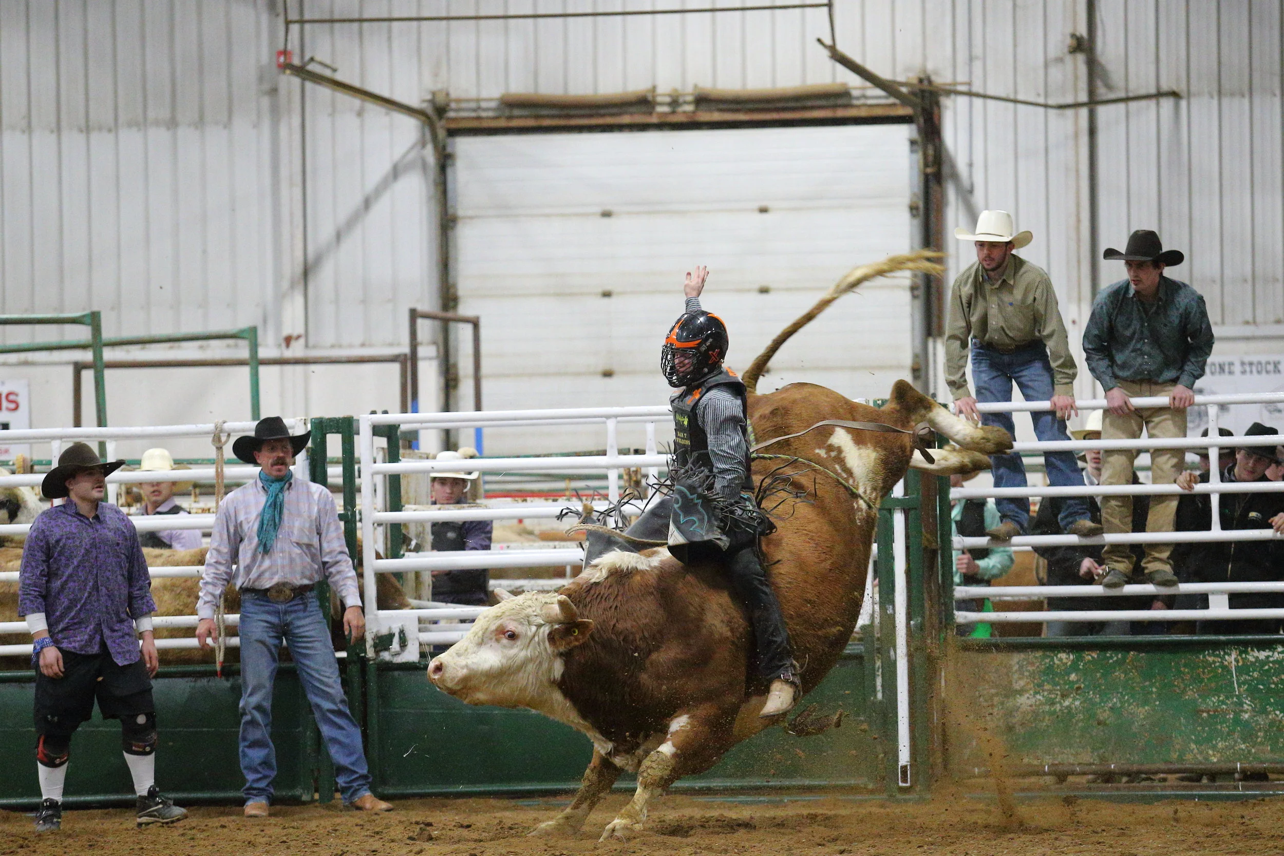 Broncs and Bulls This Saturday — MJ Independent