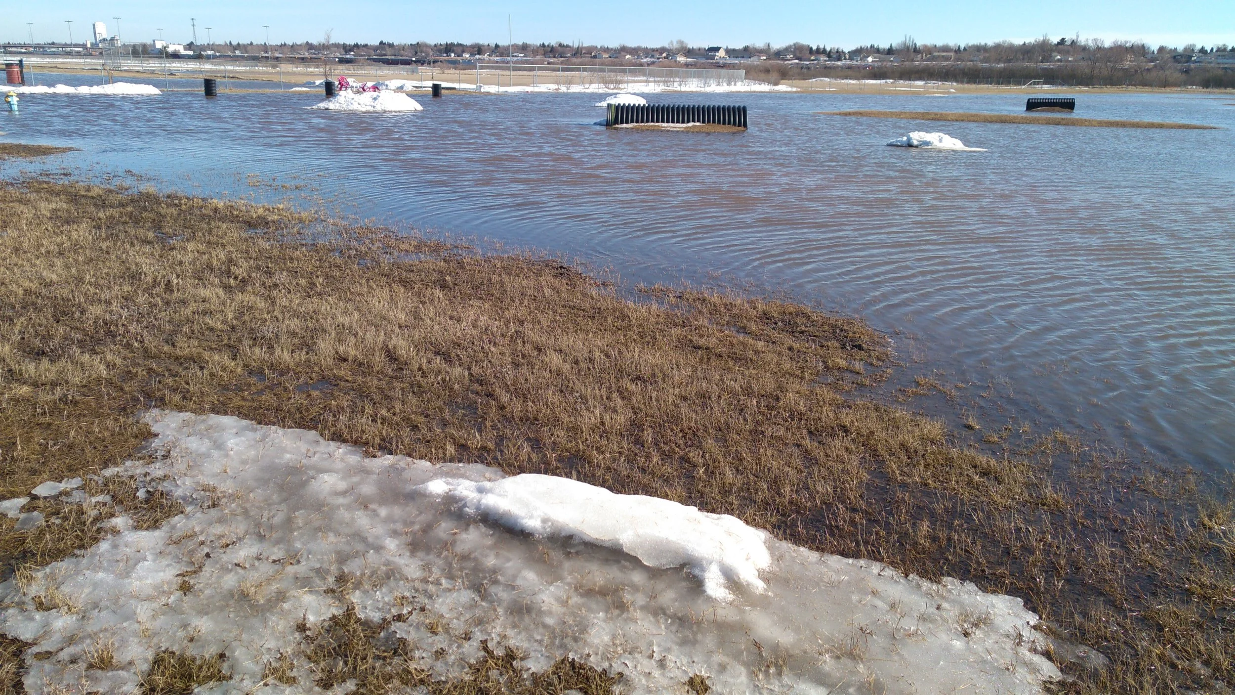 Small Dog Off Leash Park Closed