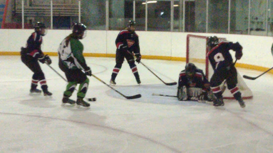 Third Period Action - MJ Independent Photo