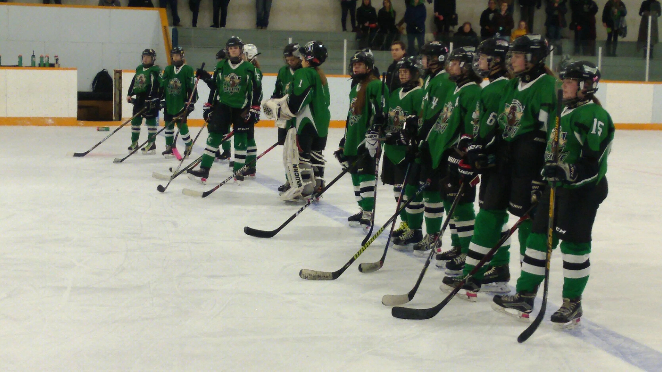 Mavericks Line Up For Plaque Presentations