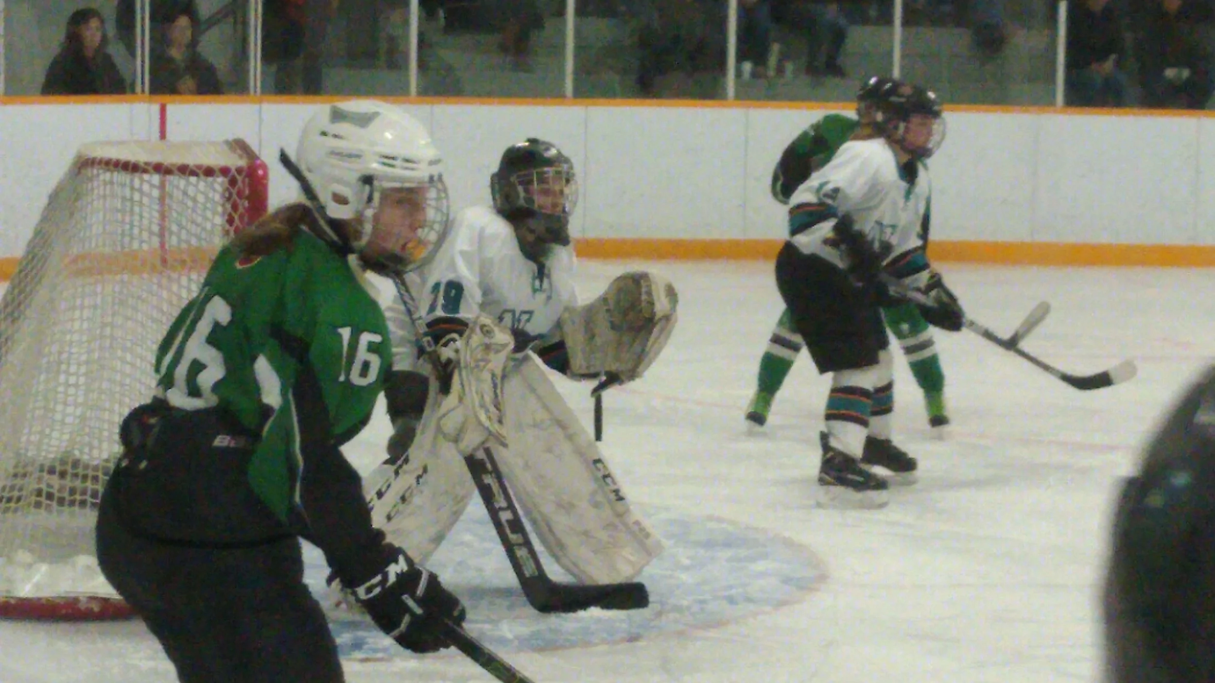Action From The Turtleford Game