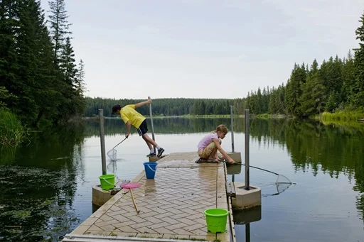 On-Line Camping Registration Opens Tomorrow