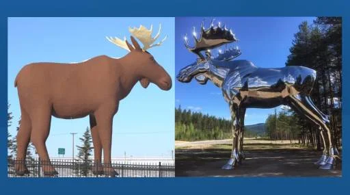 Moose Wars Costs Borne Out By Increased Tourism