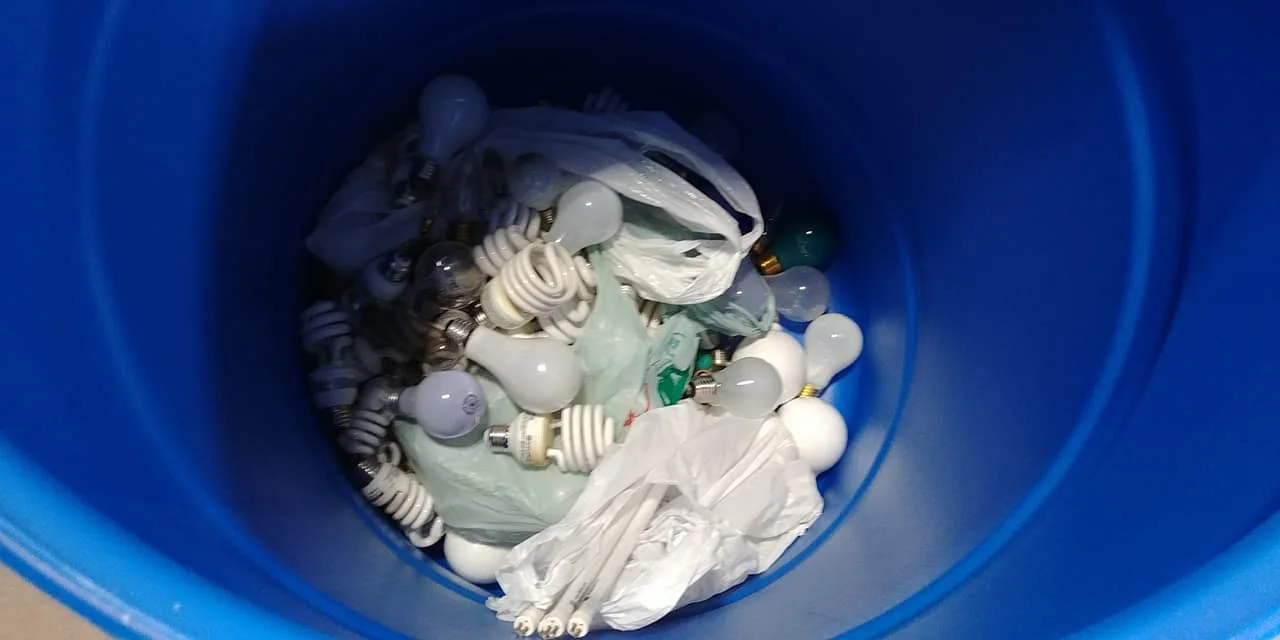Light bulbs collected in 2018 - supplied photo