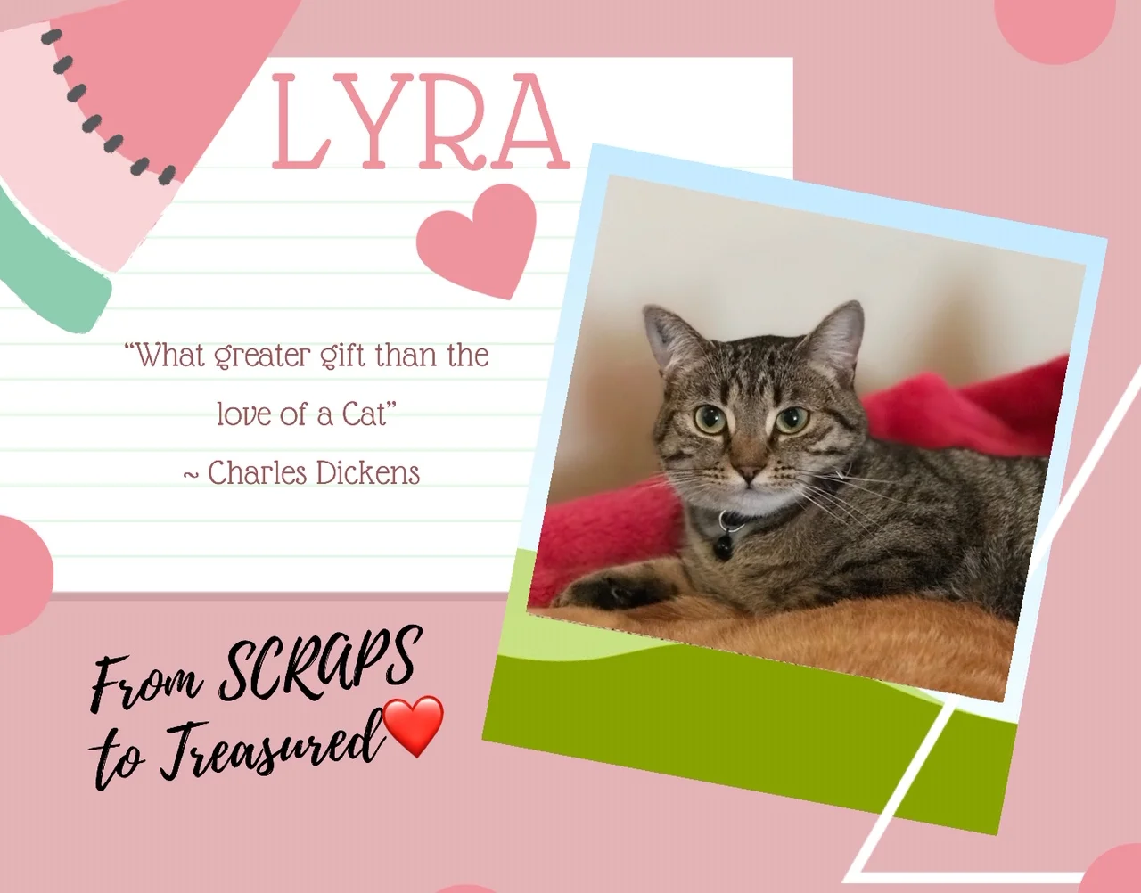 Lyra - From SCRAPS To Treasured