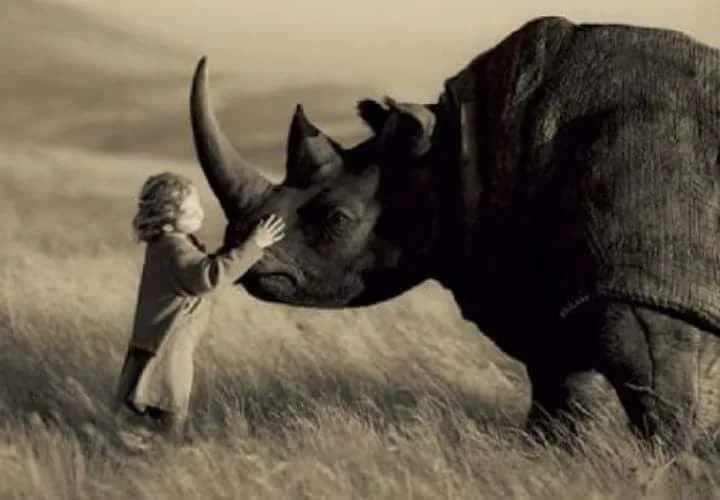 Beyond Your Backyard - World Rhino Day