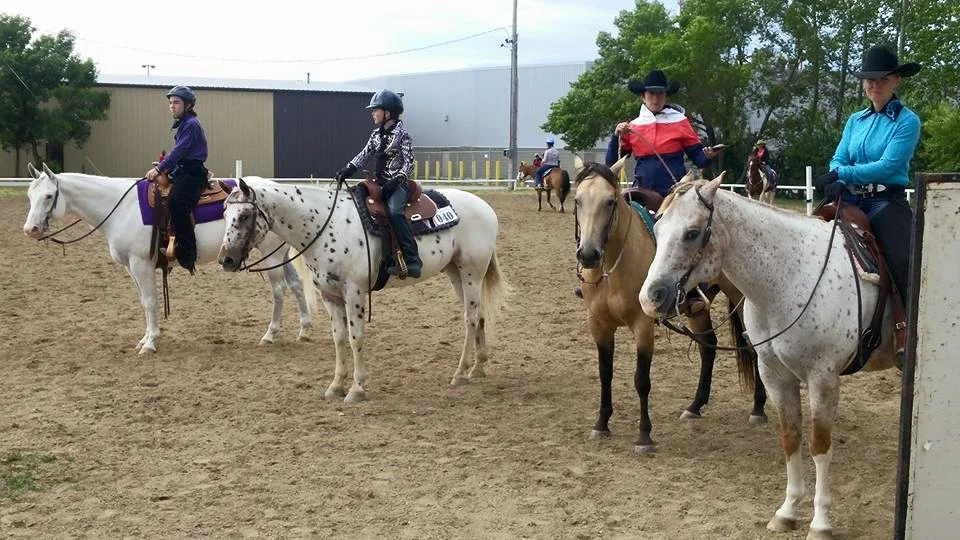 Exhibition Company Offers Assistance To Meet Horses