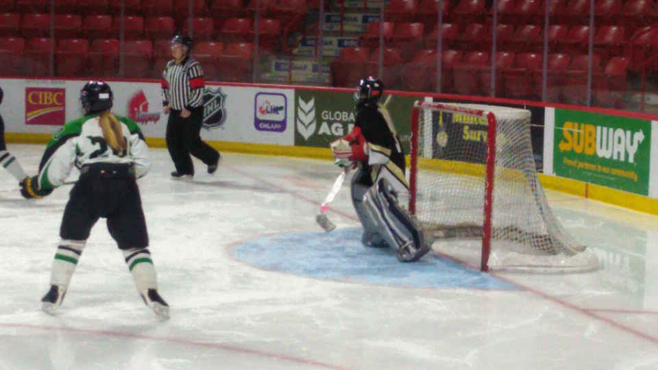 Midget A Mavericks Skate Past Gold Wings