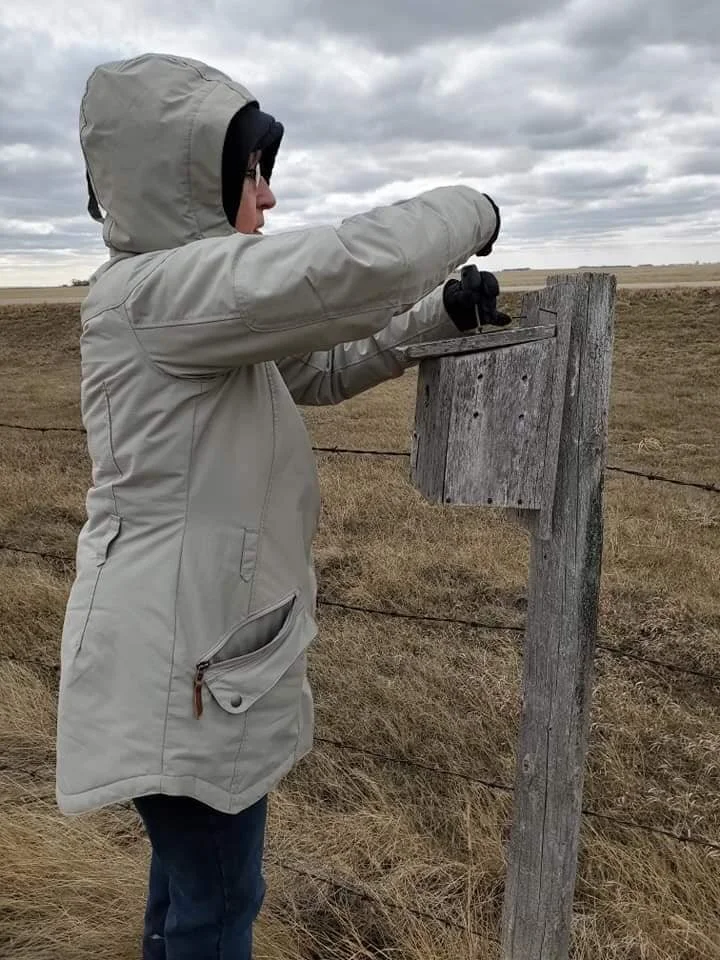 Beyond Your Backyard - National Bird Day Features the Bluebirds 🐦