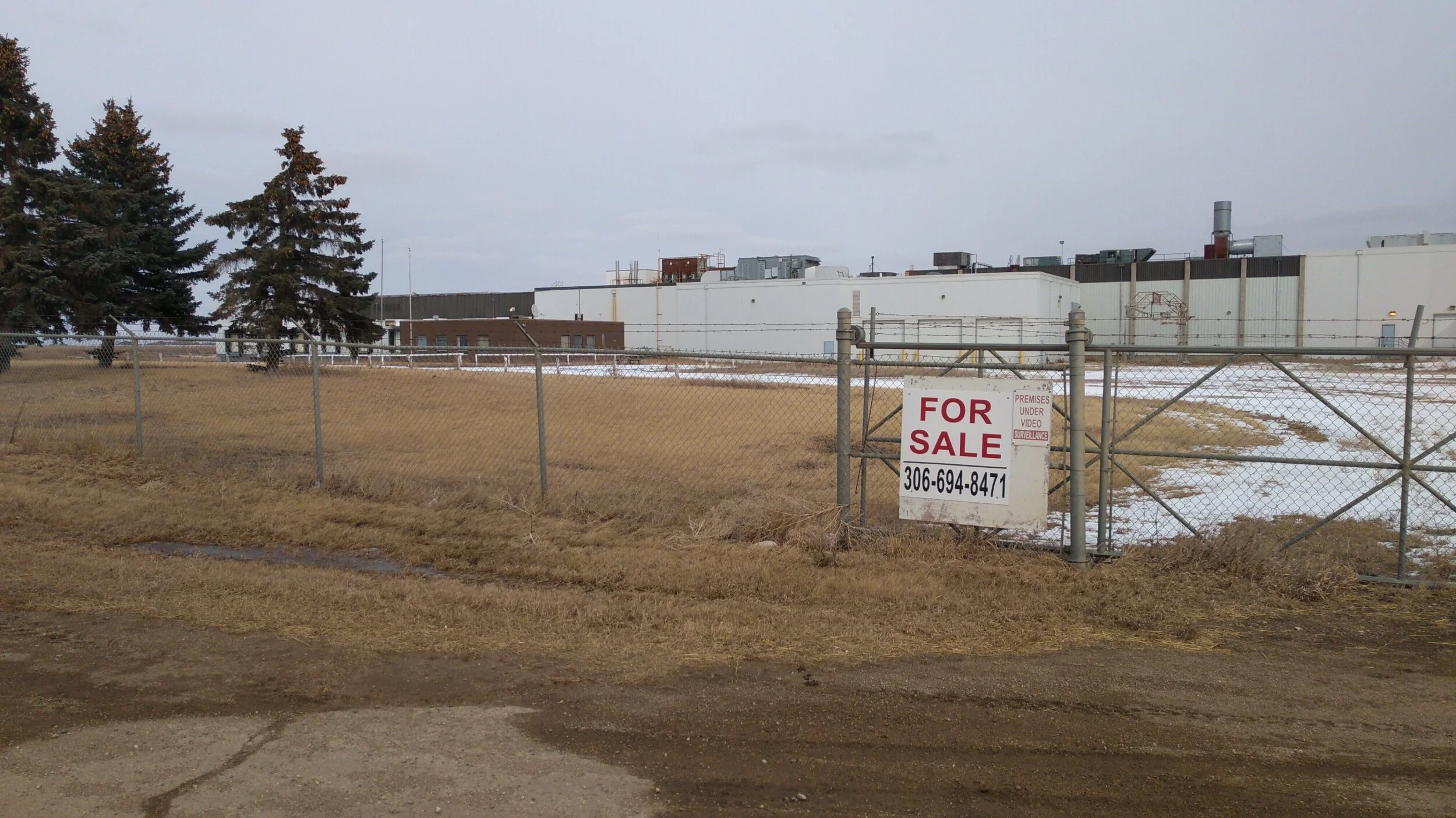 Donald's Fine Foods Buys Former Beef Plant Plans To Convert It To Cull Sow Operation