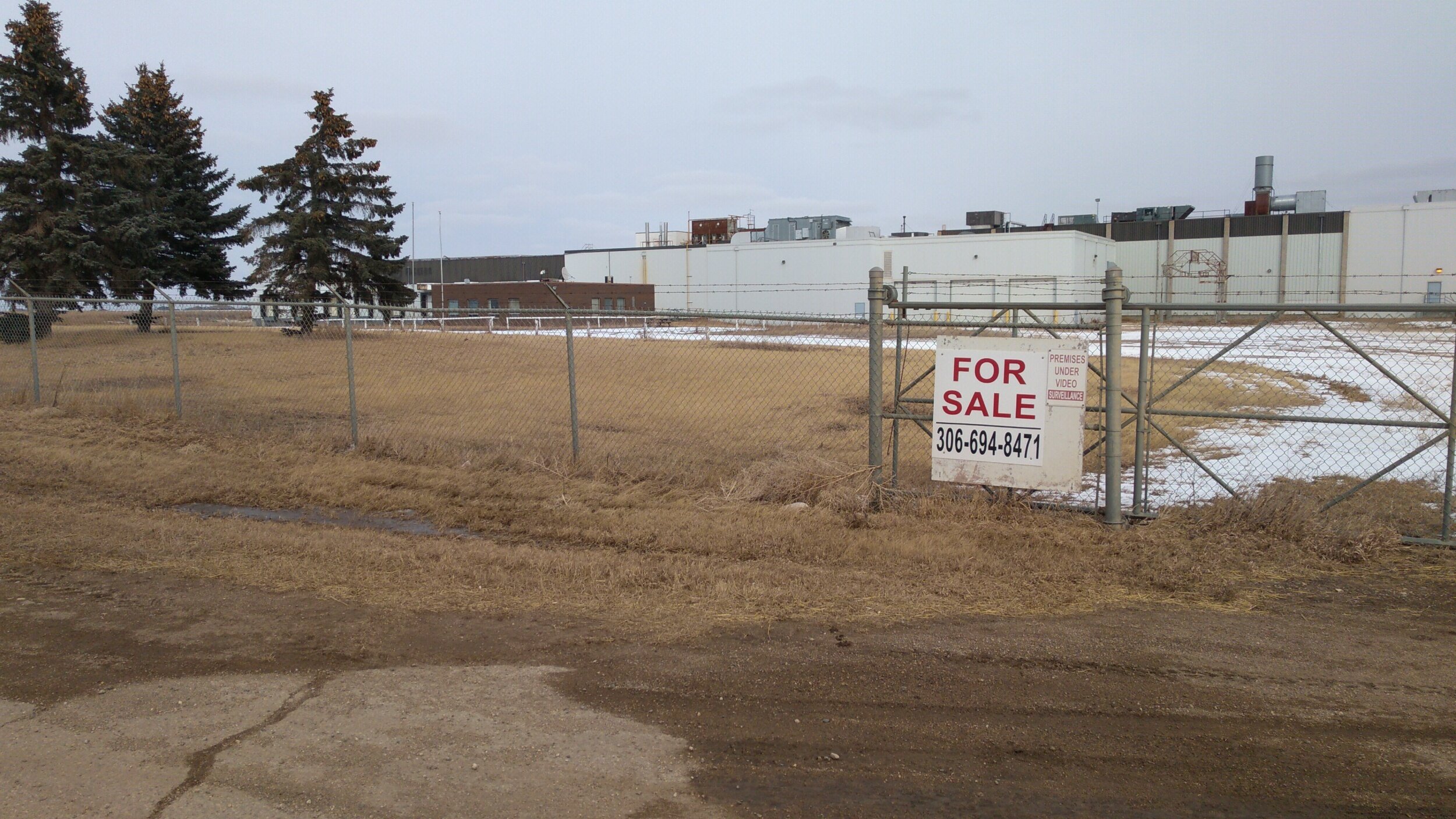 Proposed Culled Sow Facility To Undergo Feasibility Study 