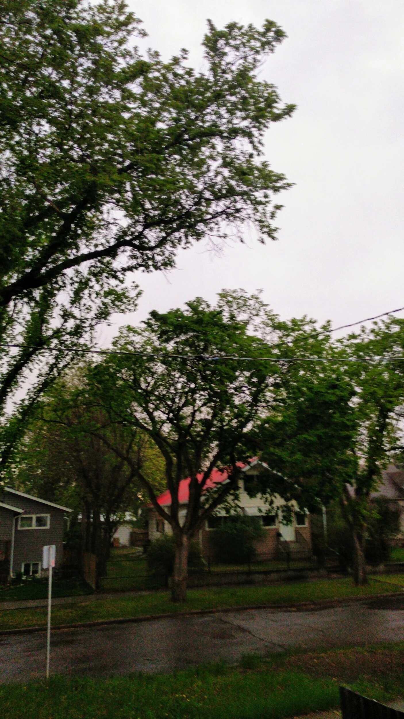 Environment Canada Issues Severe Thunderstorm Watch