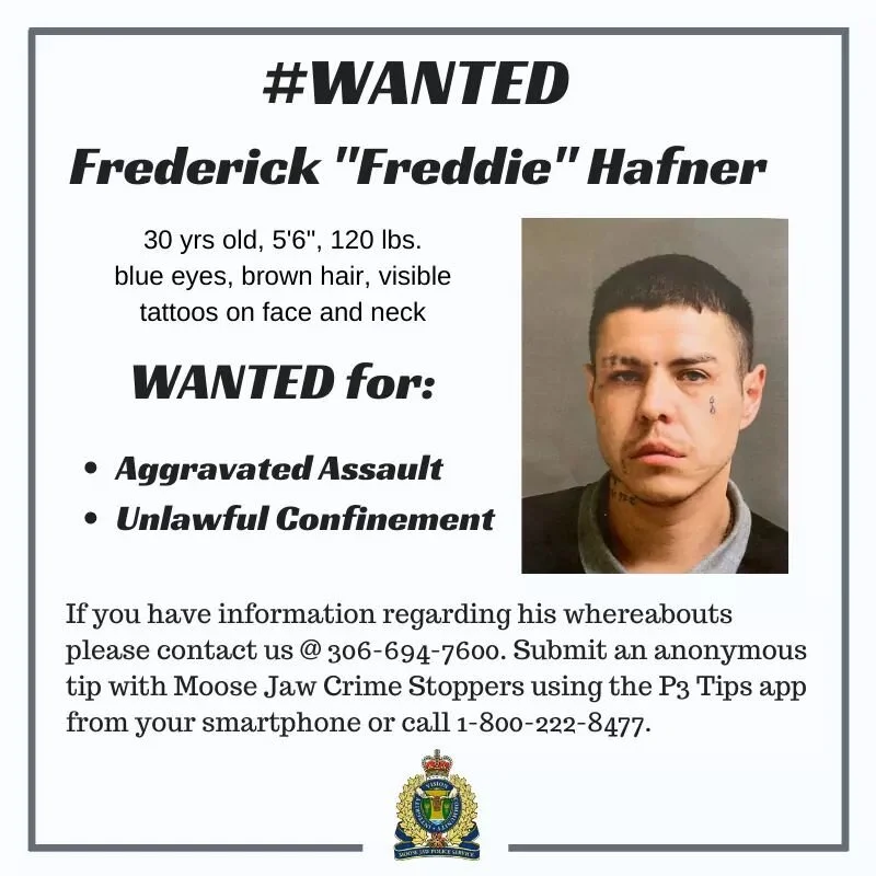 Warrant Wednesday Seeks Fast Freddie Hafner 